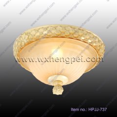 Popular Art Ceiling Lamps (HPJJ-737)