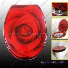 High Quality Resin Toilet Seat (HPJJ-1245)