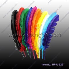 DIY crafts feather/ quill feather/ colorful goose feather(HPJ